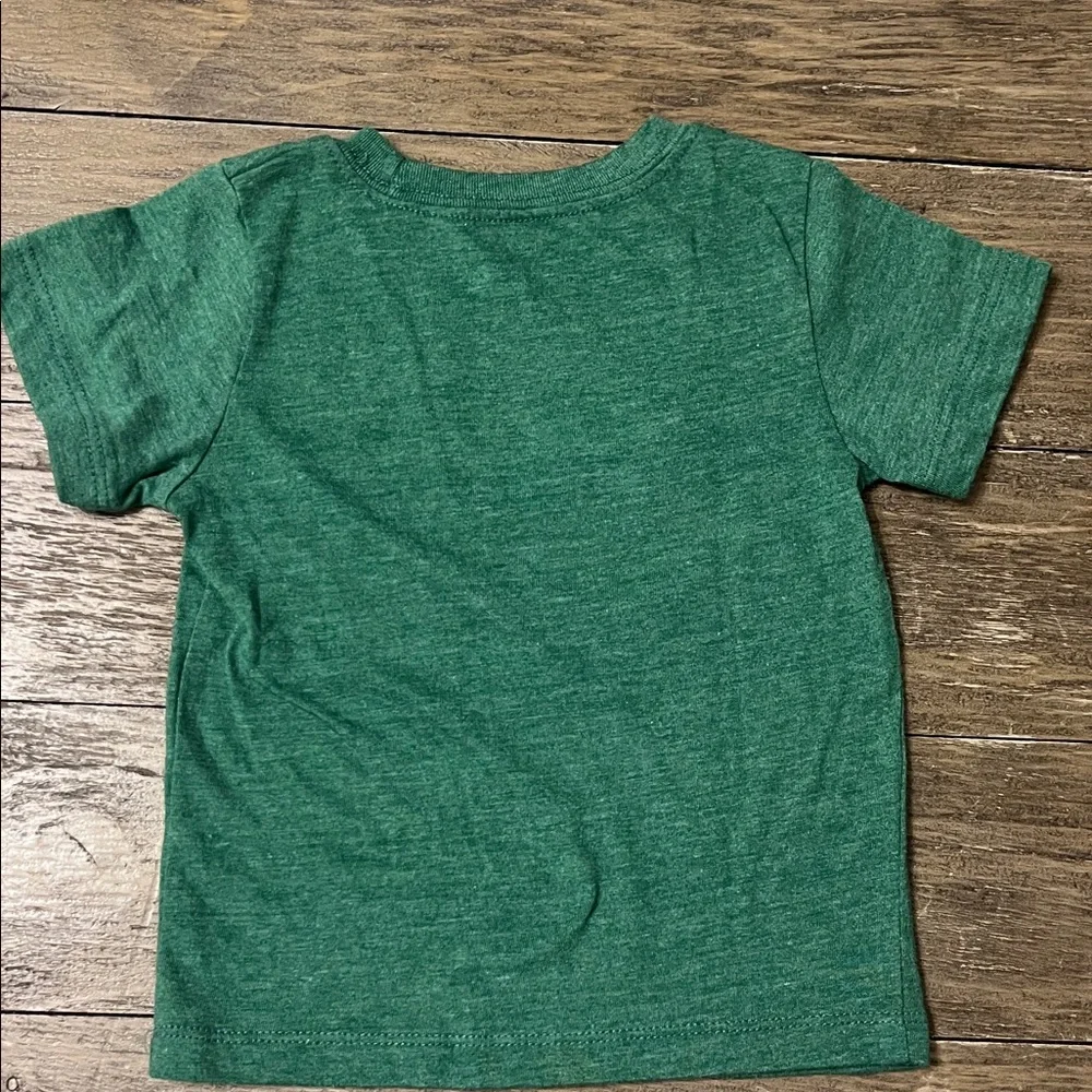 NIRVANA Green Kids Short Sleeve Graphic Tee with Pastel Logo - Picture 3 of 3